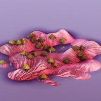 a 3d image of a pink island with trees on it
