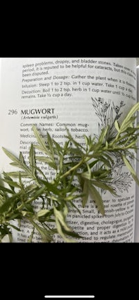a book with a sprig of rosemary on it