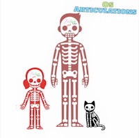 two skeletons standing next to each other