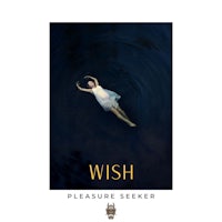 a poster for the book wish pleasure seeker
