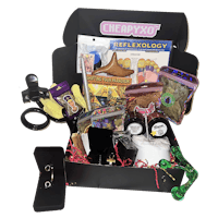 a black box with a variety of items inside