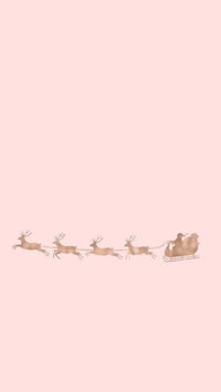 santa's sleigh with reindeer on a pink background