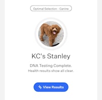 kc's stanley dna testing complete