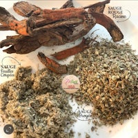 a plate with different types of herbs and spices on it