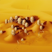 a group of skulls in the desert