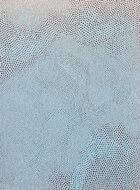a painting with dots on a blue background