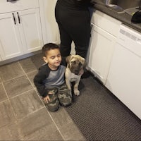 a young boy with a pug dog in a kitchen