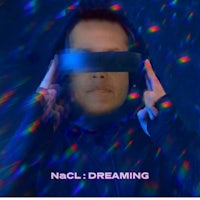 nacl dreaming cover art