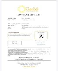 a certificate of results for gensol