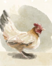 a watercolor painting of a rooster
