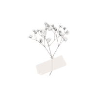 a silver flower brooch on a black background