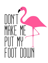 a pink flamingo with the words don't make me put my foot down