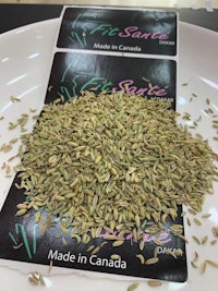 fennel seeds on a white plate