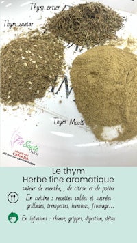 le thym - herba thymique