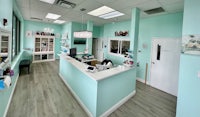 the interior of a pet grooming salon with turquoise walls