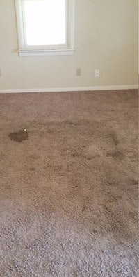 a room with a brown carpet and a window
