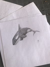 a drawing of an orca whale on a piece of paper