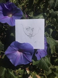 a drawing of a cat on a piece of paper next to purple flowers