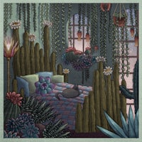 an illustration of a bed with cactus plants and a cat