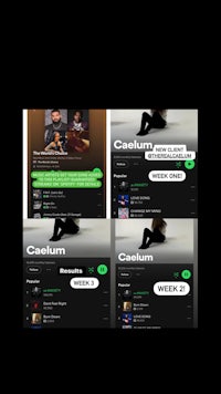 a screenshot of a music app with a green background