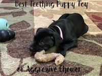best teething puppy toy or aggressive chewer