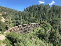 a railroad bridge over a forest with trees in the background