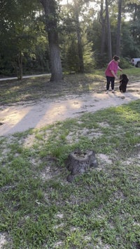 a woman is standing next to a dog in a park