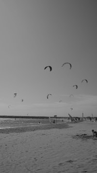 kitesurfing on the beach