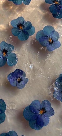 blue pansies floating in water