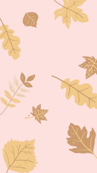 autumn leaves on a pink background