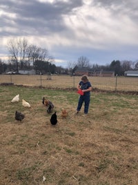 a woman feeding chickens in a field
