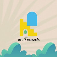 a yellow and blue logo with the words 13 tumeric