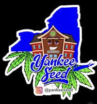 yankee seed sticker by yankee seed