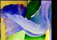 a close up of a blue iris flower