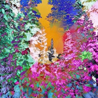 a colorful painting of a forest with colorful trees