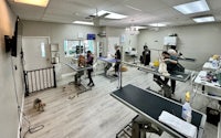 a dog grooming room with people working on their dogs