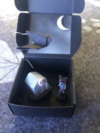 a black box with a small figurine in it