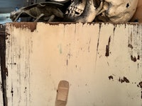 a painting of a skull on a wall