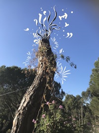 an image of a tree with a drawing on it