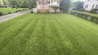 a house with a lawn in front of it