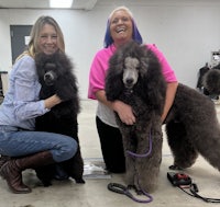 three women posing with their poodles in a grooming salon