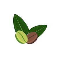 two coffee beans and leaves on a white background