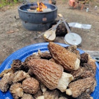 mushrooms on a blue plate in front of a campfire