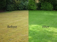 a before and after picture of a lawn