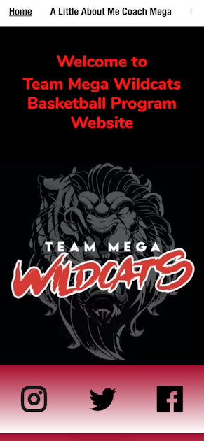 Team Mega Wildcats Basketball Program