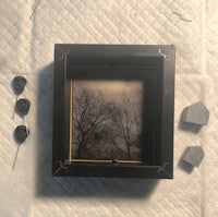 a black frame with a photo of trees on it