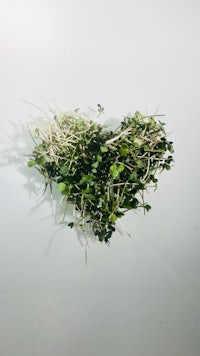 a heart shaped arrangement of sprouts on a white surface