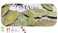 a group of leaves with the words fit - sant on them