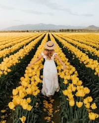 a woman walking through a field of yellow tulips