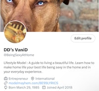 dd vanid's instagram profile with a dog's face